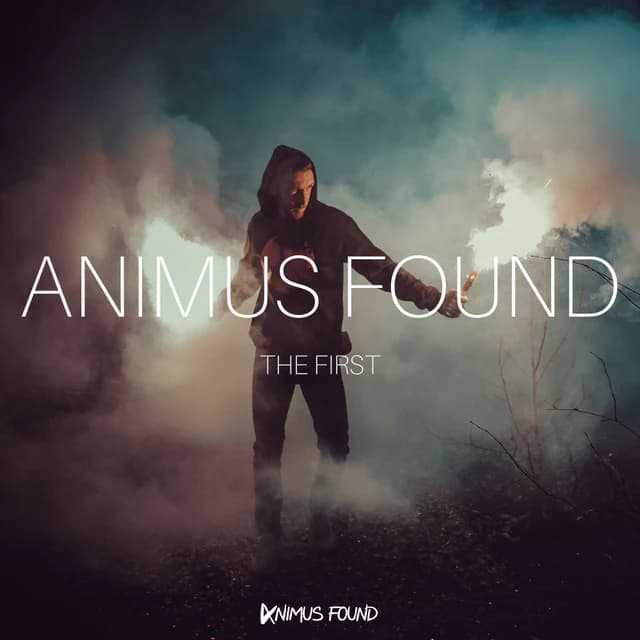 Animus Found: The First cover art
