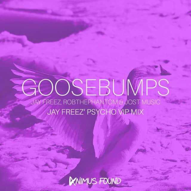 Goosebumps (Jay Freez' Psycho VIP Mix) cover art